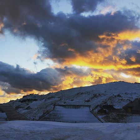 Chalet Gasparjeva Velika Planina Kamnik Exteriér fotografie